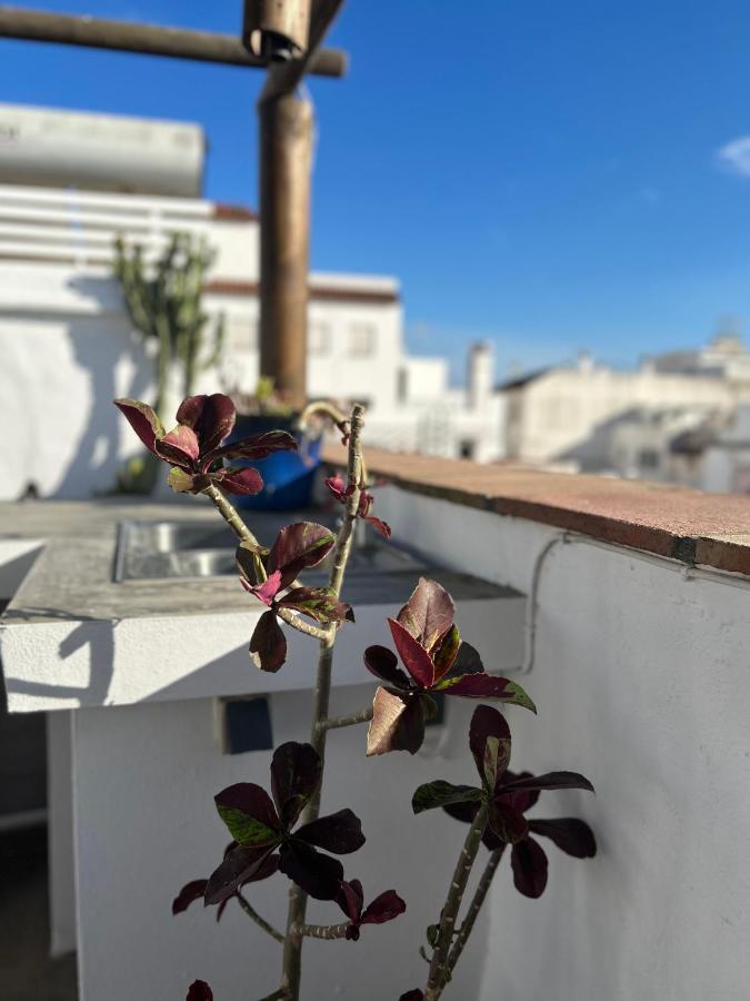 The Roof Garden - Downtown Tarifa Apartment Exterior photo